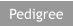 Pedigree